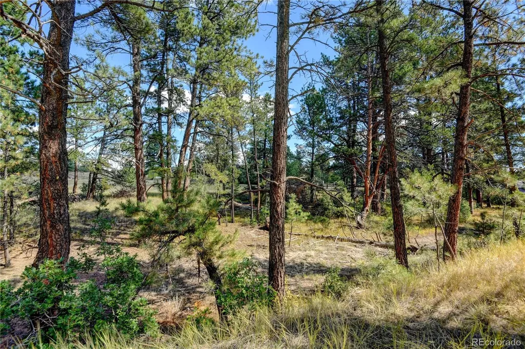 E Park Drive Franktown CO 80116