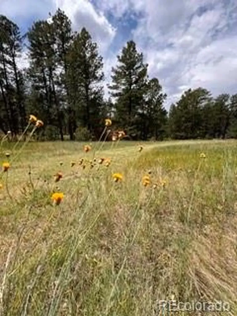 E Park Drive Franktown CO 80116