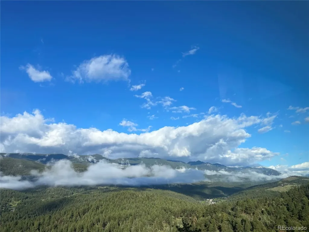 381 Saddle Lane Bailey CO 80421