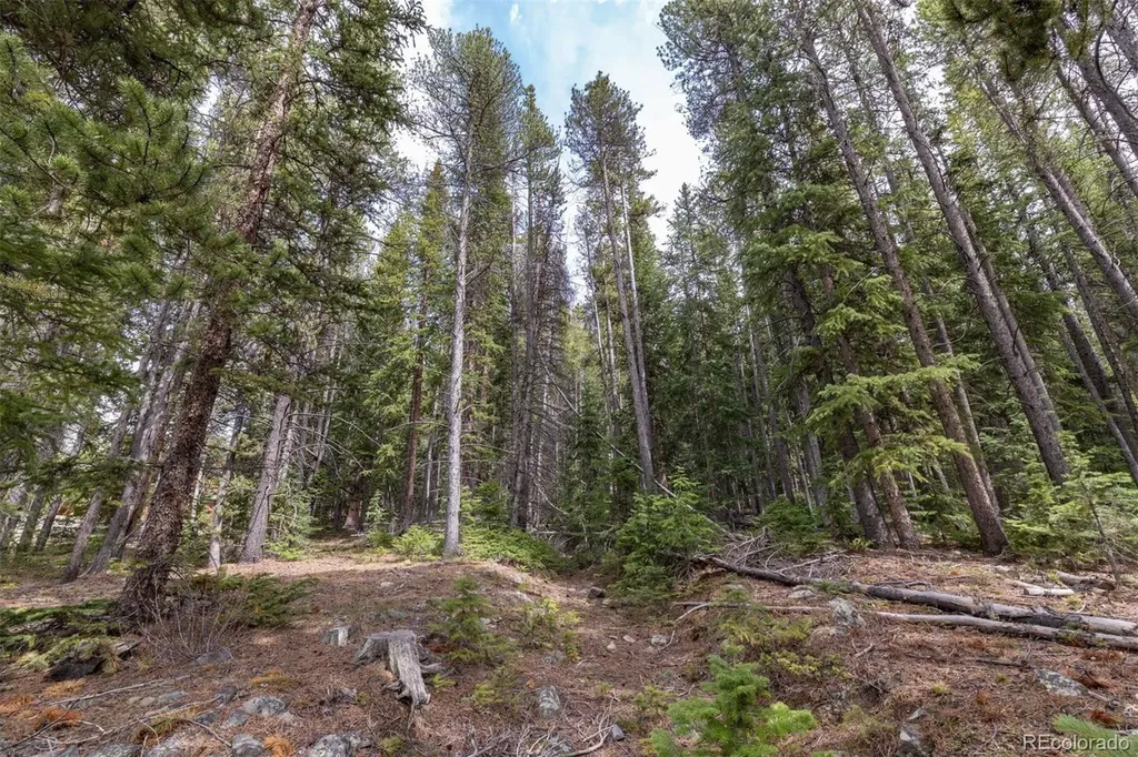 436 Moonstone Road Breckenridge CO 80424