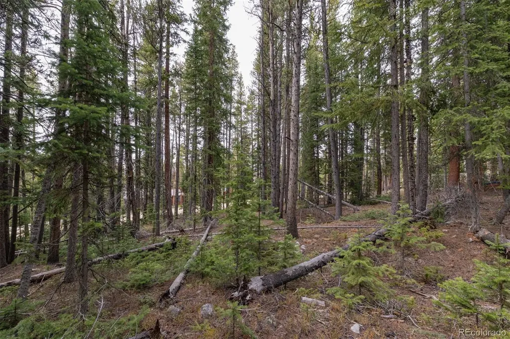 436 Moonstone Road Breckenridge CO 80424