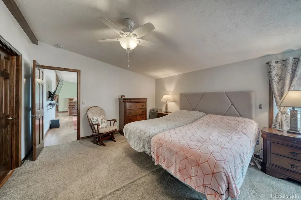 29650 Pinon Lane Buena Vista CO 81211