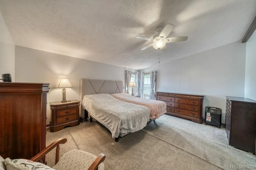 29650 Pinon Lane Buena Vista CO 81211