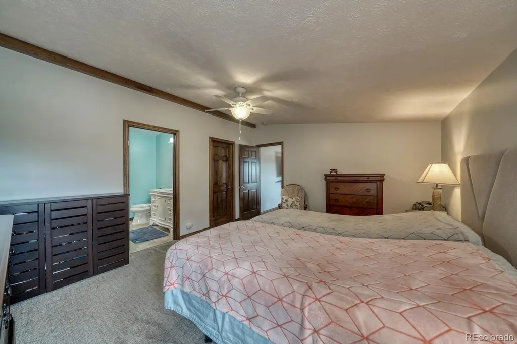29650 Pinon Lane Buena Vista CO 81211