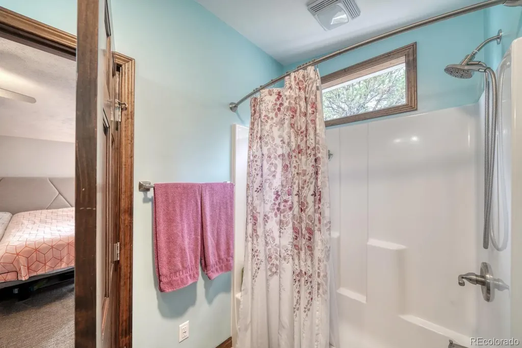 29650 Pinon Lane Buena Vista CO 81211