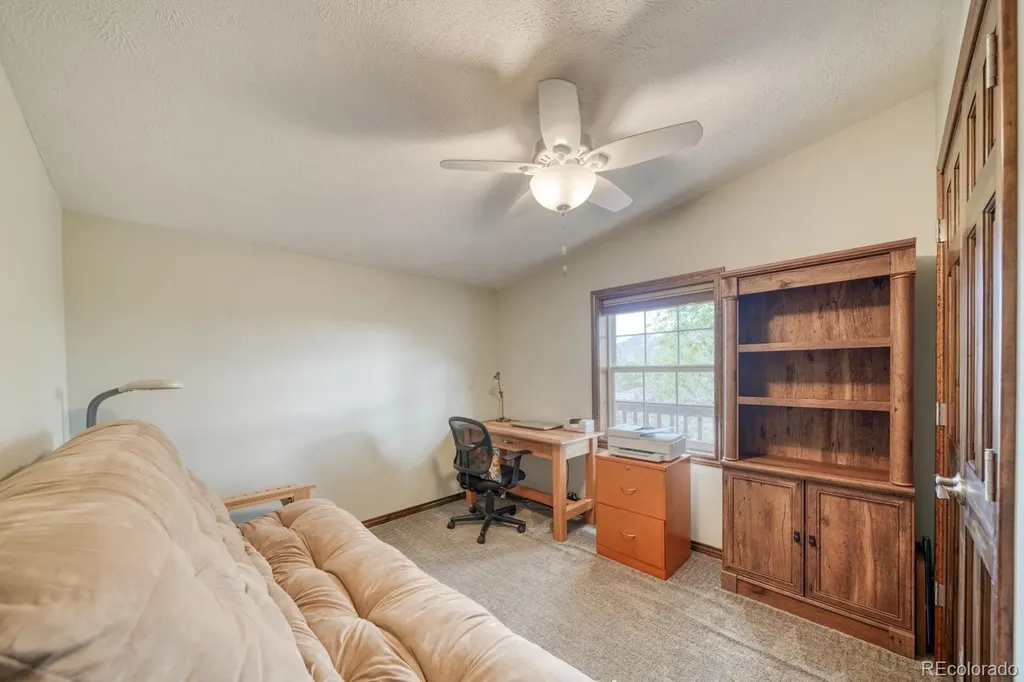 29650 Pinon Lane Buena Vista CO 81211