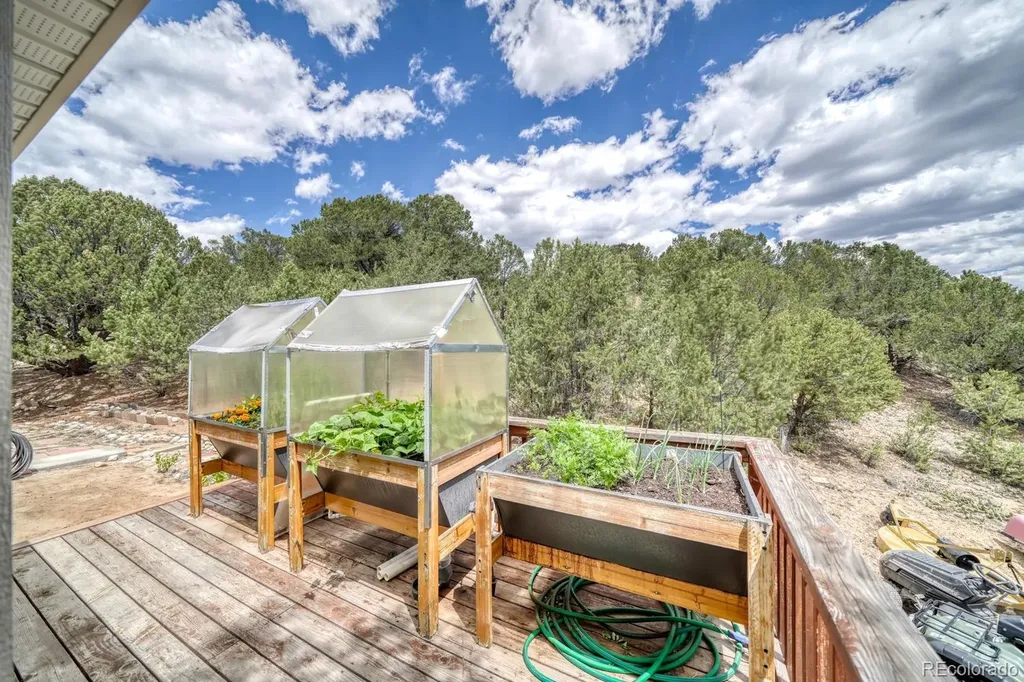 29650 Pinon Lane Buena Vista CO 81211
