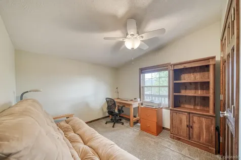 29650 Pinon Lane Buena Vista CO 81211