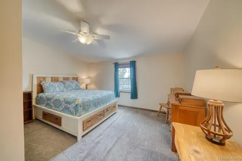 29650 Pinon Lane Buena Vista CO 81211