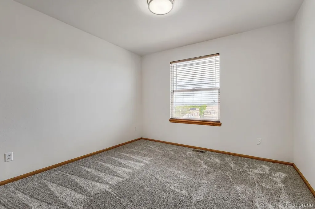 4099 Scarlet Oak Court Castle Rock CO 80109
