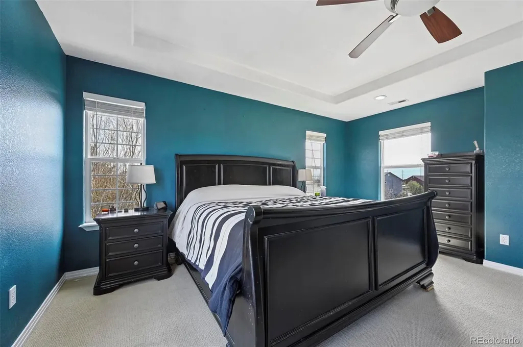 7334 Talimena Terrace Peyton CO 80831