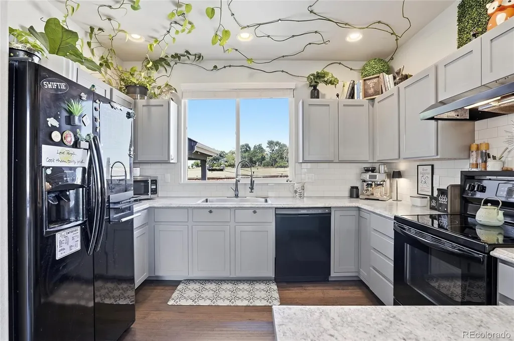 1068 Mt Oxford Avenue Windsor CO 80550