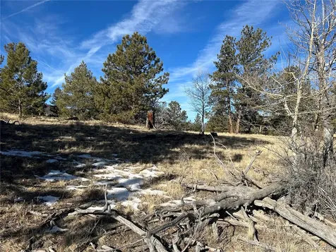 3430 Singletree Road Hartsel CO 80449