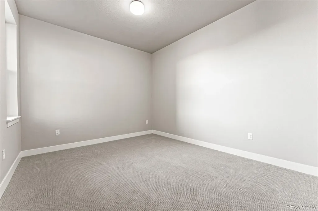 20 Wilcox Street Castle Rock CO 80104