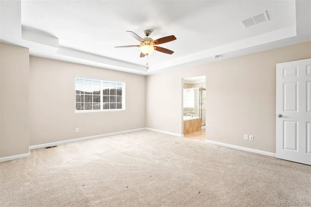 1156 Raindrop Way Castle Rock CO 80109