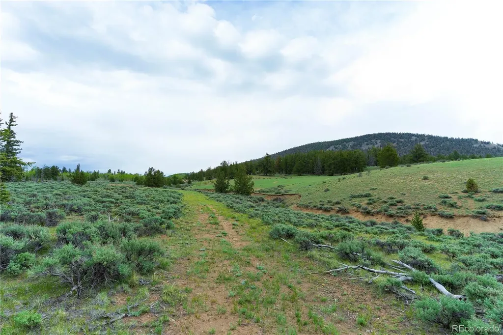 2662 Willow Creek Lane Fairplay CO 80440