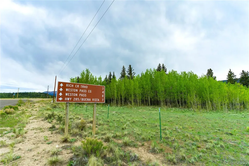 2662 Willow Creek Lane Fairplay CO 80440