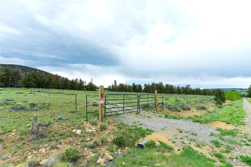2662 Willow Creek Lane Fairplay CO 80440