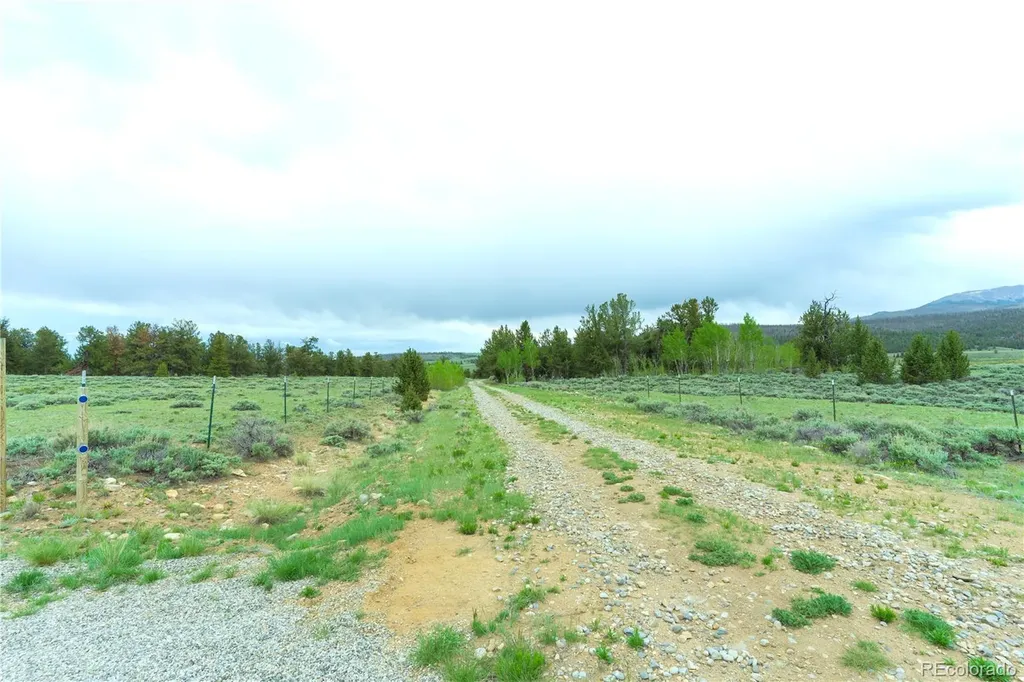 2662 Willow Creek Lane Fairplay CO 80440