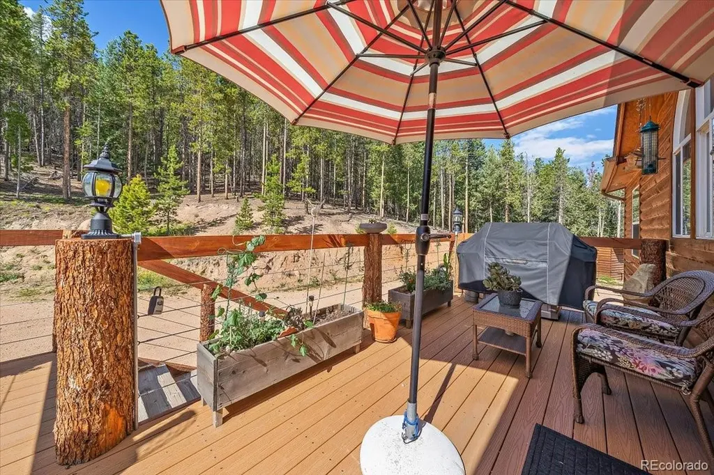 9001 S Warhawk Road Conifer CO 80433