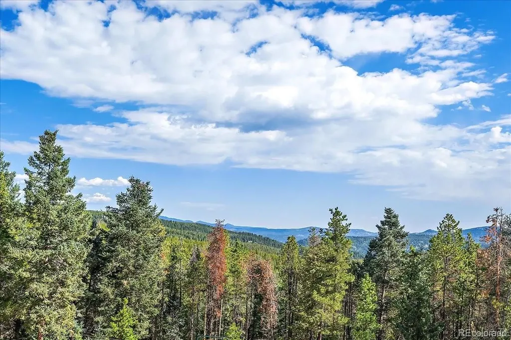 9001 S Warhawk Road Conifer CO 80433