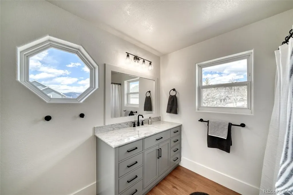 172 Brooklyn Circle Leadville CO 80461