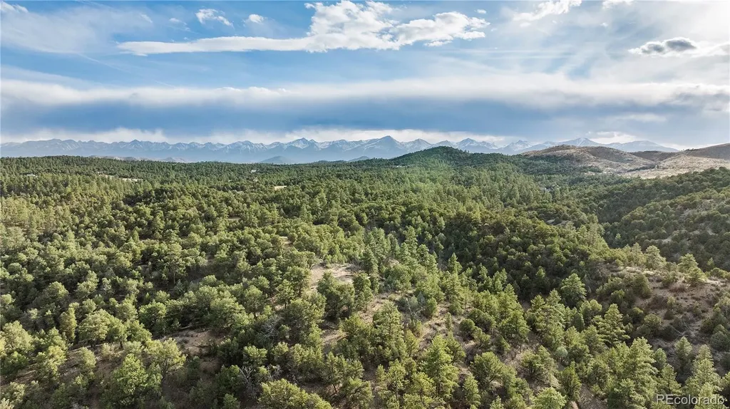 48 Alex Court Cotopaxi CO 81223