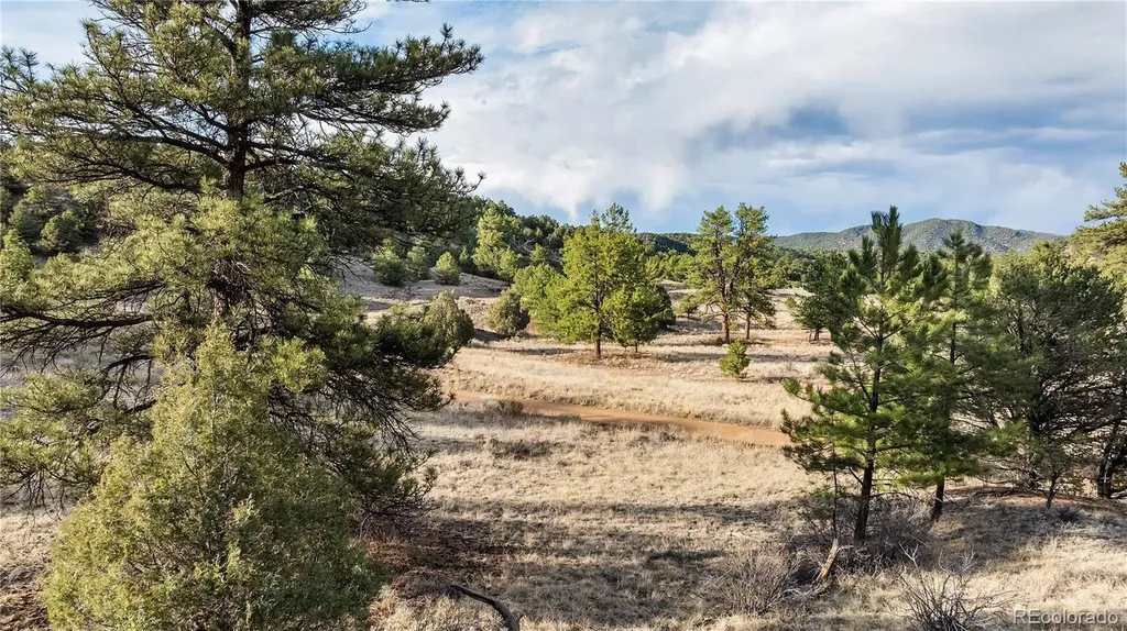 48 Alex Court Cotopaxi CO 81223