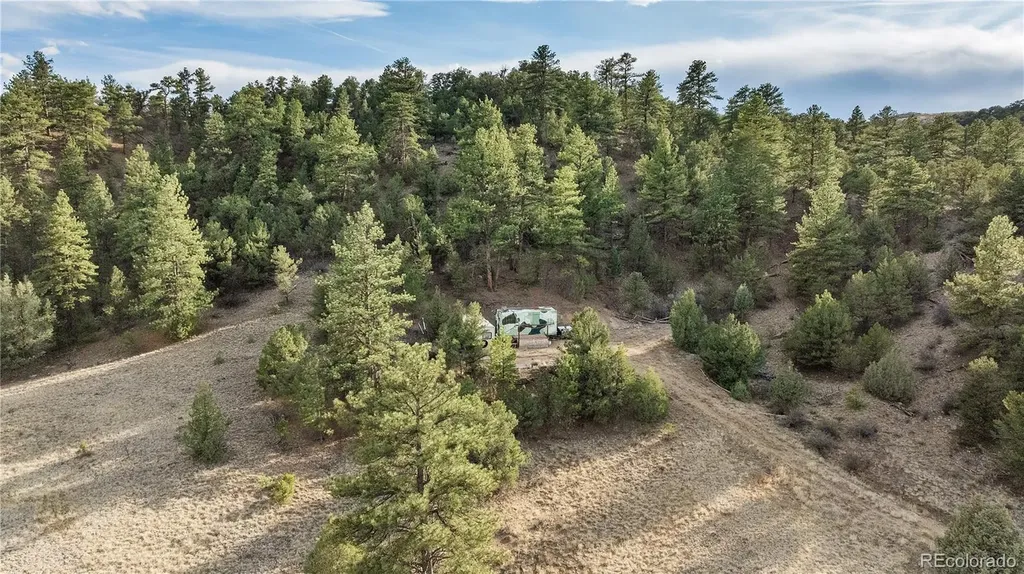 48 Alex Court Cotopaxi CO 81223