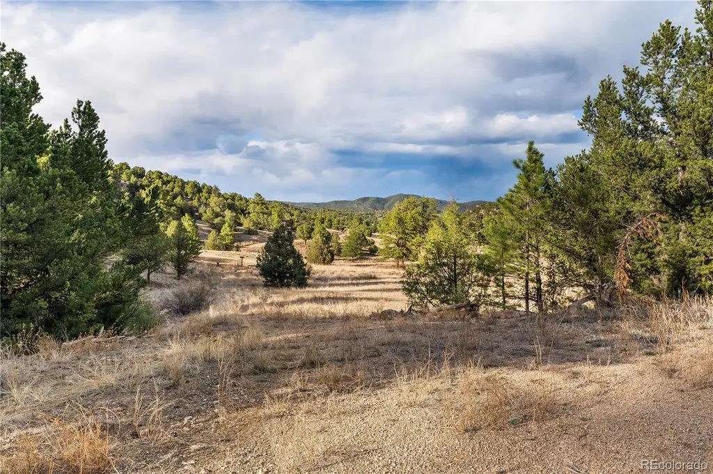 48 Alex Court Cotopaxi CO 81223