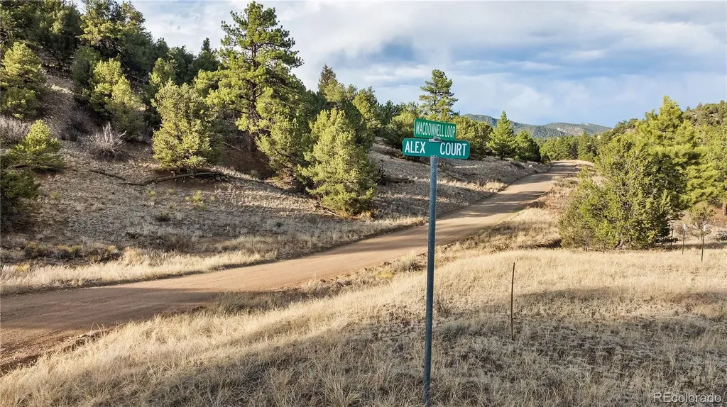 48 Alex Court Cotopaxi CO 81223
