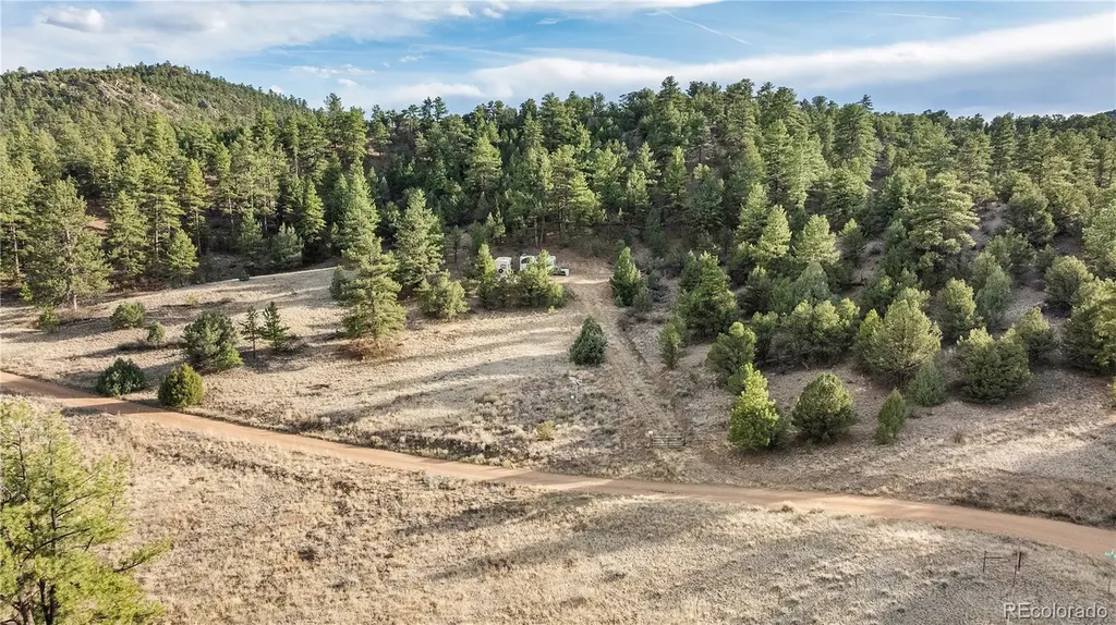 48 Alex Court Cotopaxi CO 81223