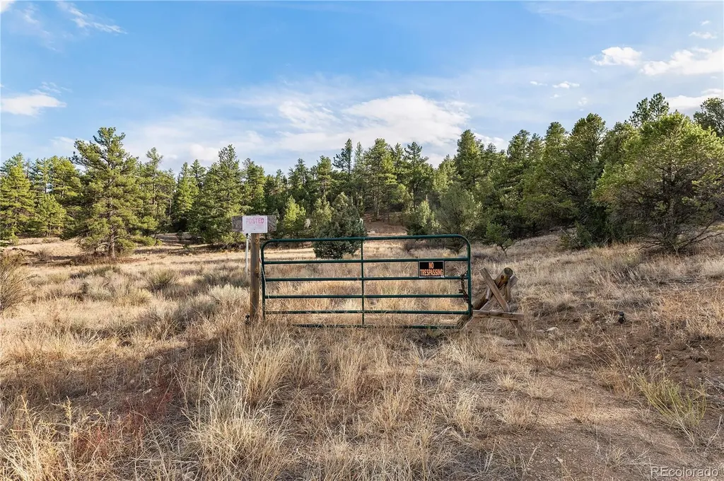 48 Alex Court Cotopaxi CO 81223