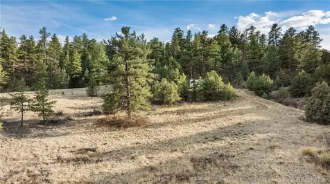 48 Alex Court Cotopaxi CO 81223