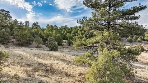 48 Alex Court Cotopaxi CO 81223