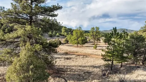48 Alex Court Cotopaxi CO 81223