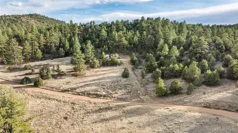 48 Alex Court Cotopaxi CO 81223