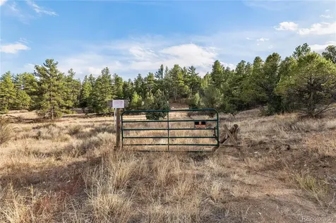 48 Alex Court Cotopaxi CO 81223