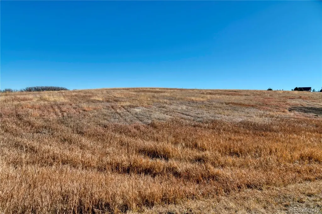 2490 Browning Drive Castle Rock CO 80109