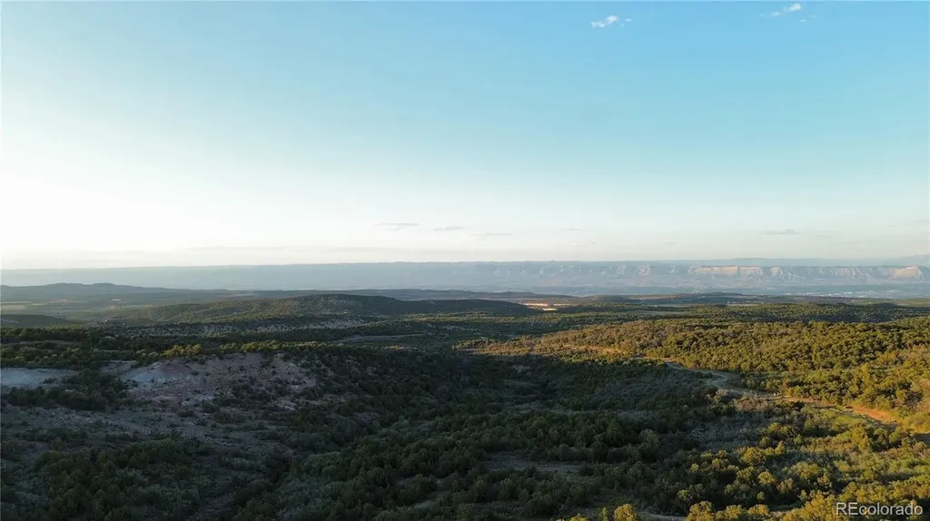 18975 Elk Reserve Road Glade Park CO 81523