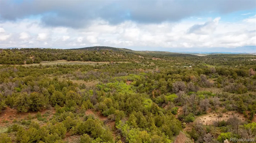 18975 Elk Reserve Road Glade Park CO 81523