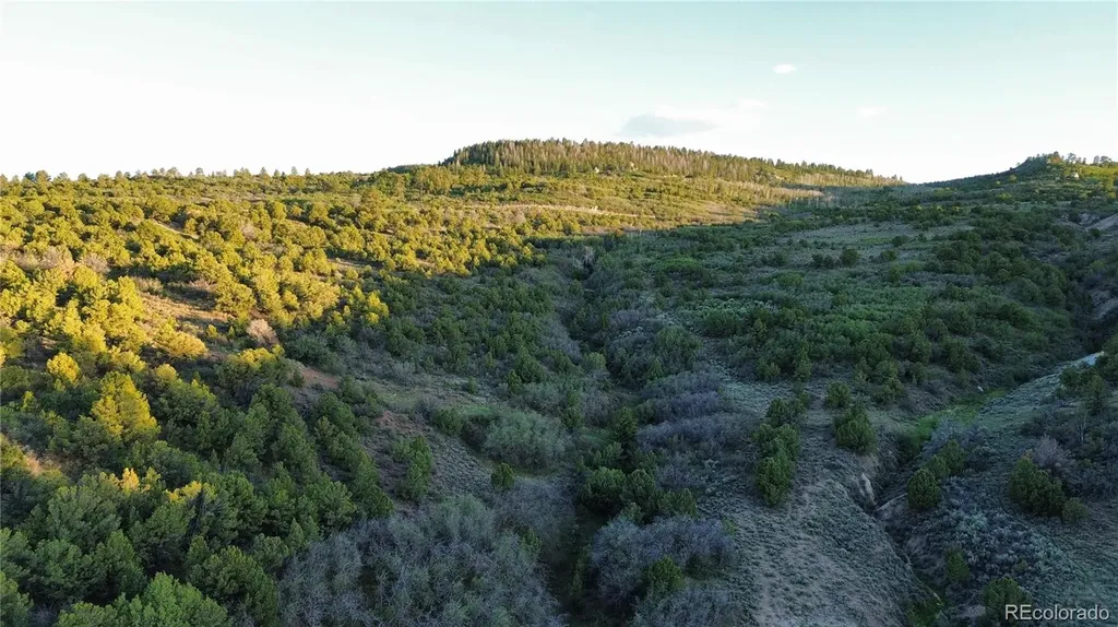 18975 Elk Reserve Road Glade Park CO 81523