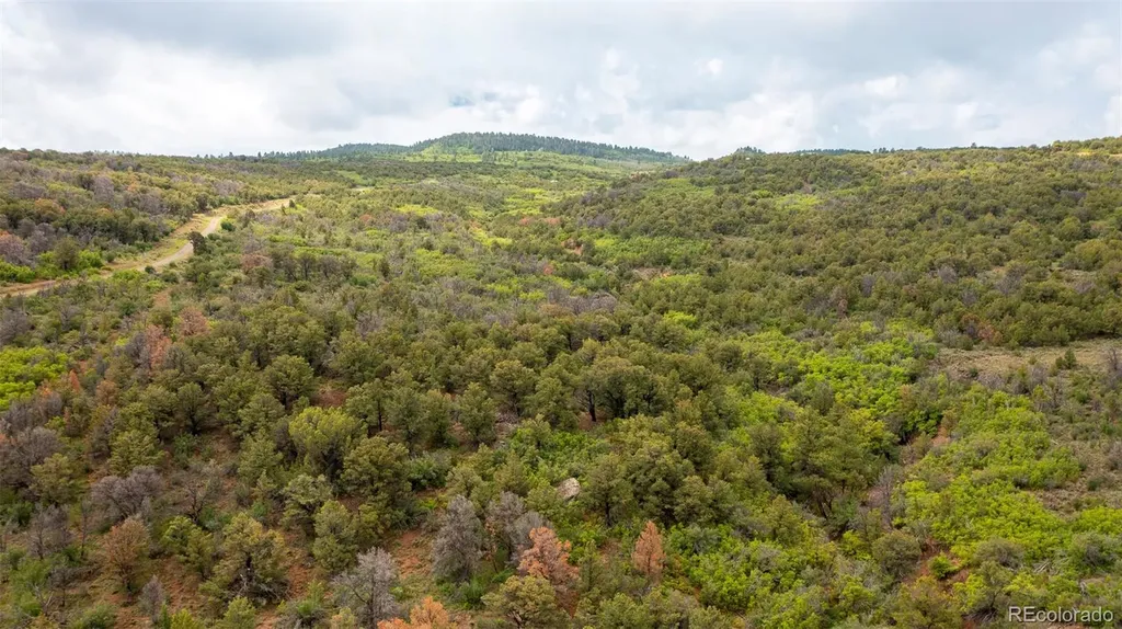 18975 Elk Reserve Road Glade Park CO 81523