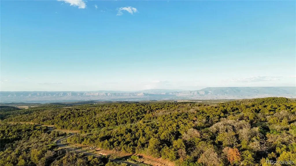 18975 Elk Reserve Road Glade Park CO 81523