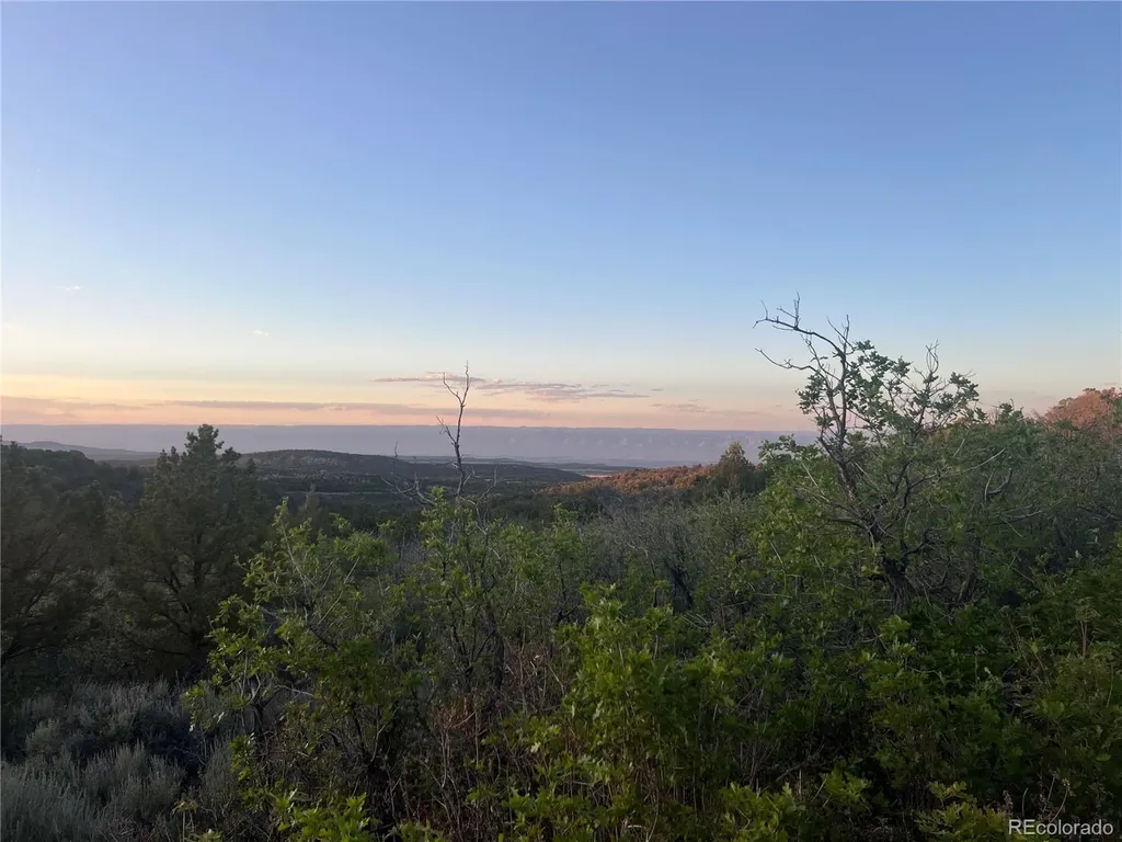 18975 Elk Reserve Road Glade Park CO 81523