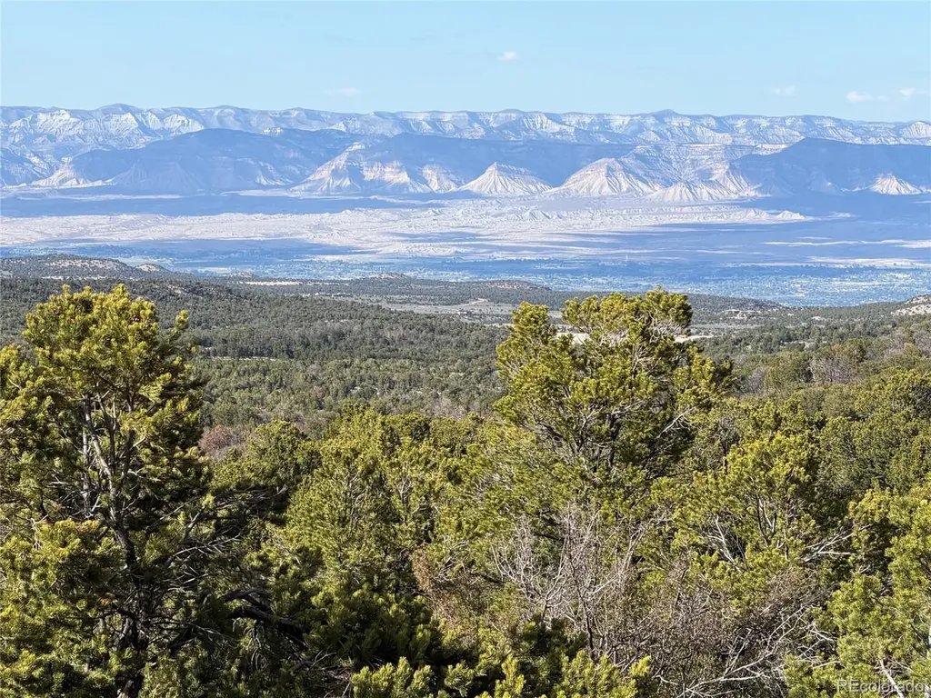 18975 Elk Reserve Road Glade Park CO 81523