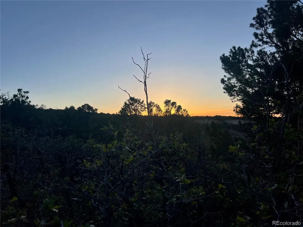 18975 Elk Reserve Road Glade Park CO 81523