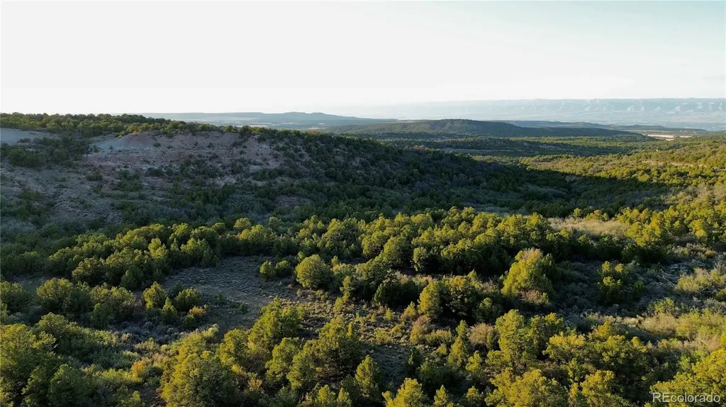 18975 Elk Reserve Road Glade Park CO 81523