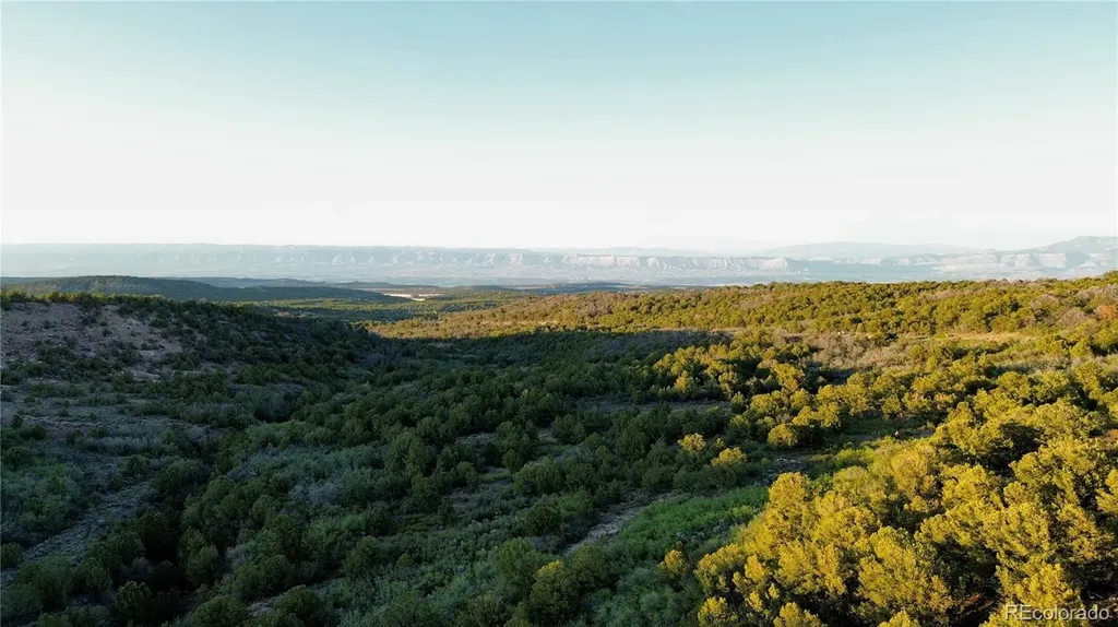 18975 Elk Reserve Road Glade Park CO 81523