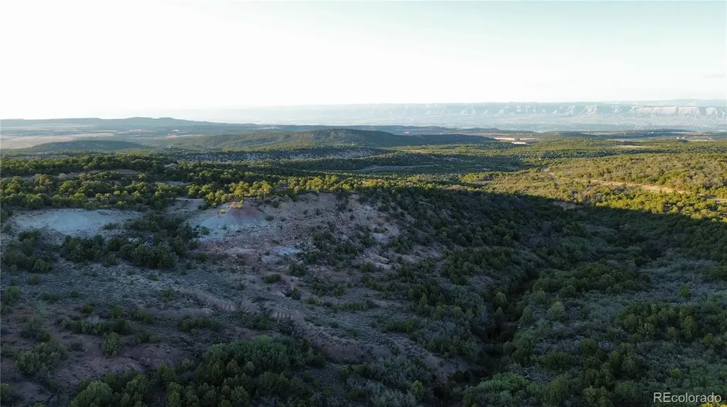 18975 Elk Reserve Road Glade Park CO 81523